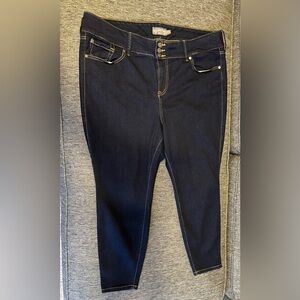 Torrid Jeggings 22XS